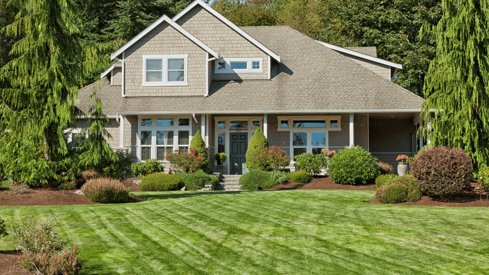 5-Minute Miracle: 7 Free Tools for a Perfect Lawn 2024 Guide
