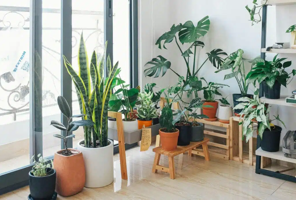 Gallon Pot Size Finder
