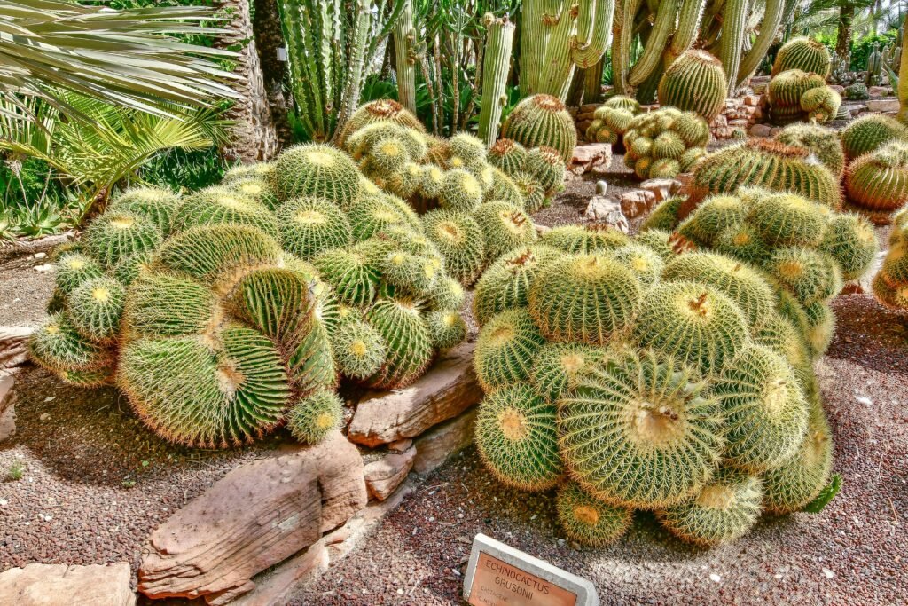 Drought resistant garden calculator