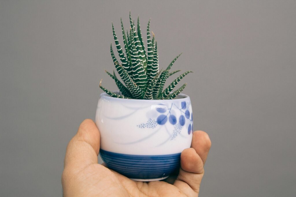 Pot Volume Calculator For Plants