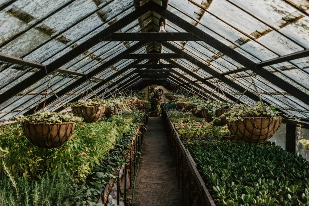 Plant spacing calculator