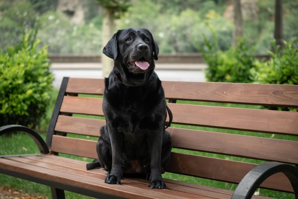 benches Size ideas