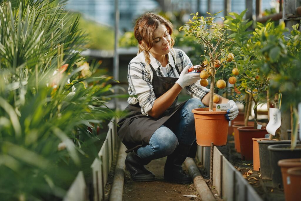 Fruits Garden Grow Calculator