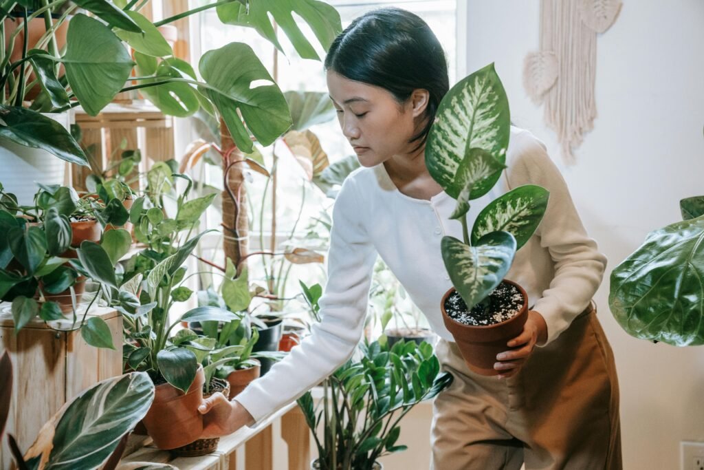 Plant Shedding Calculator