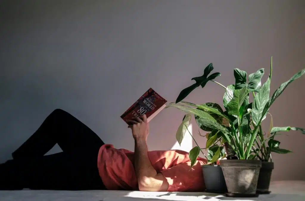 Low Light Indoor Plants