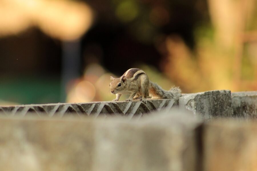 Compost Filter Sock (Eco-Friendly Alternative)