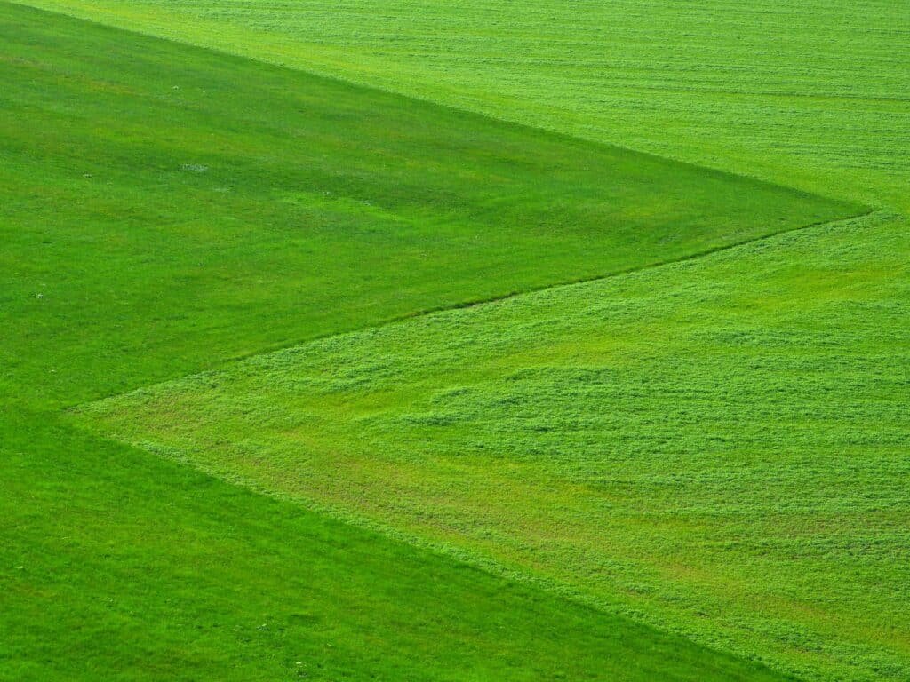 Grass Square Footage Calculator