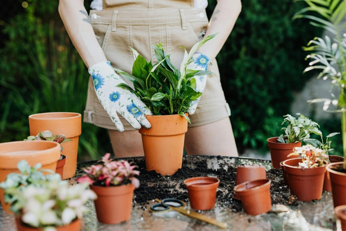 Soil Volume For Pots