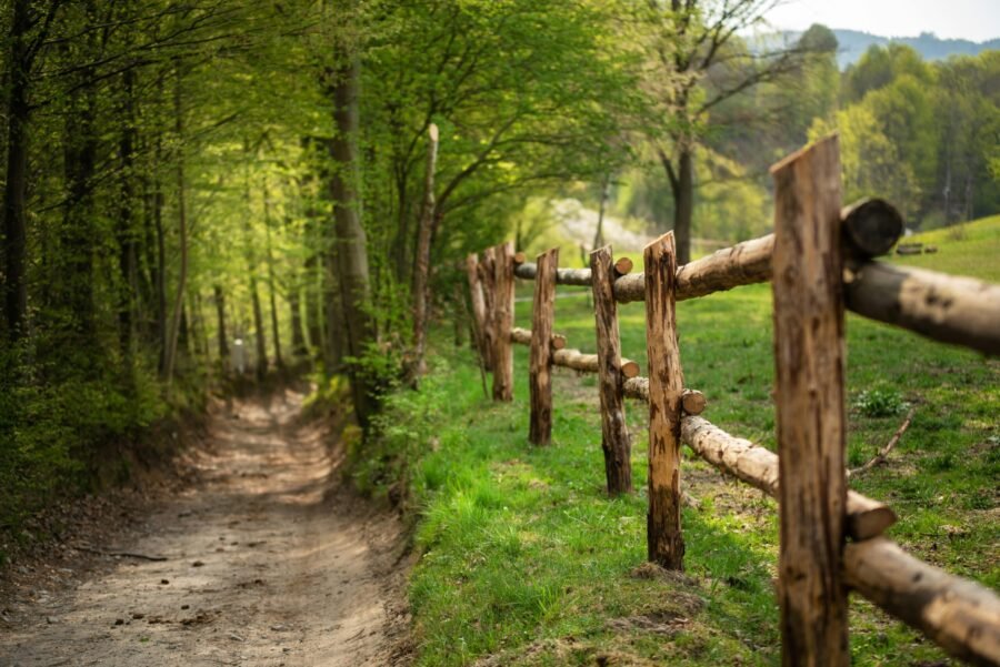 A picturesque dirt road bordered by a rustic wooden fence in a lush forest landscape in Szymbark, Poland.