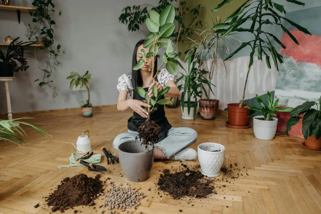 Don't Underfill Pots – Soil Calculator For Pots 89% results