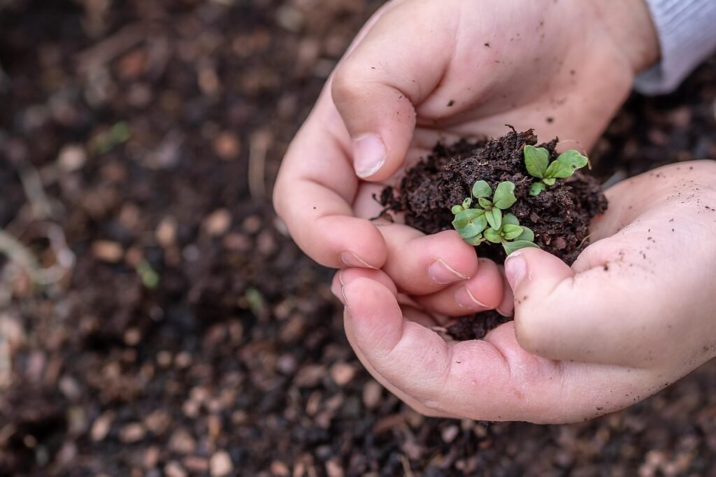 Best Fertilizer for New Grass Seed in Fall