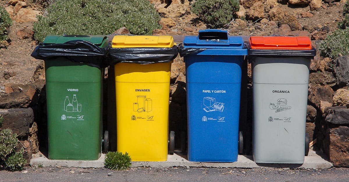 Garbage Cans And Trash Bins