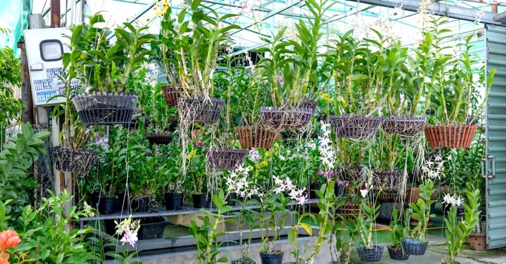 Orchid Potting Mix