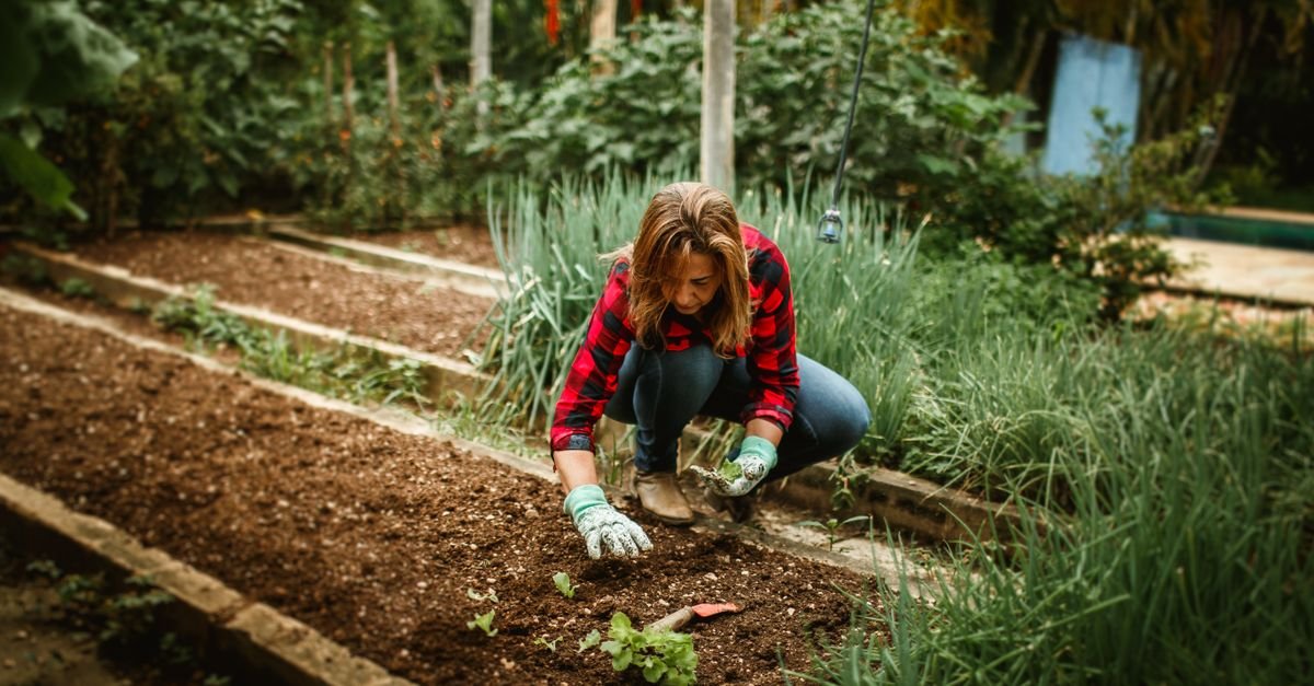 Woman planting seeds in a backyard garden, surrounded by lush greenery.