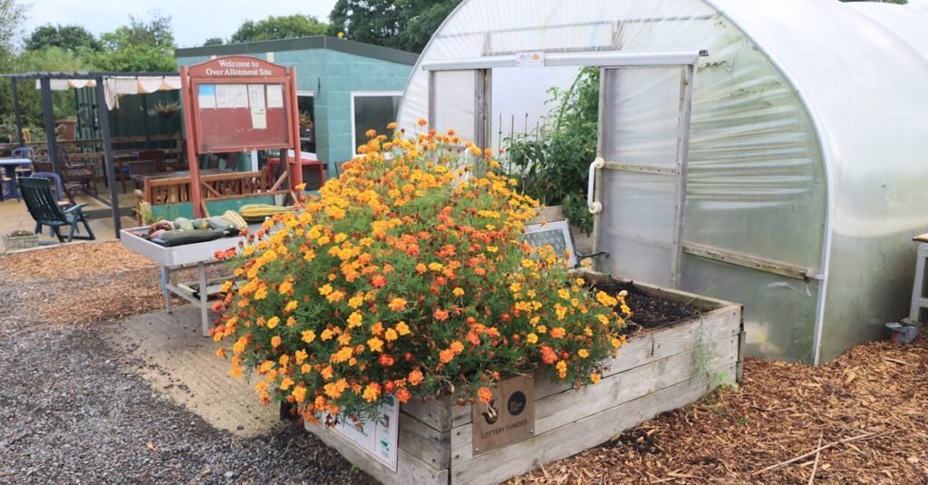 Build A Raised Bed Yourself