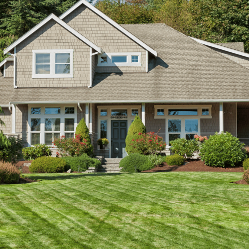 5-Minute Miracle: 7 Free Tools for a Perfect Lawn 2024 Guide