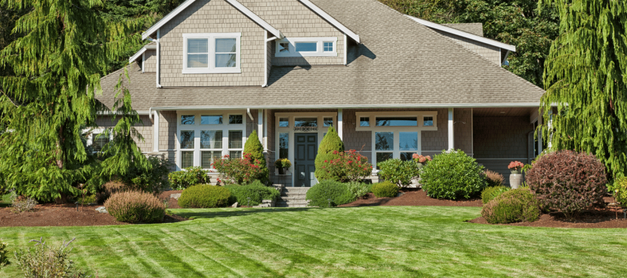 5-Minute Miracle: 7 Free Tools for a Perfect Lawn 2024 Guide